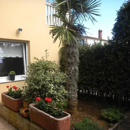 In Core Area Of Apartment *