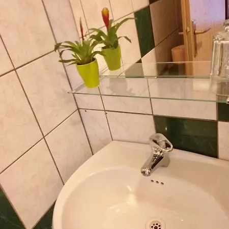 Apartment In Core Area Of